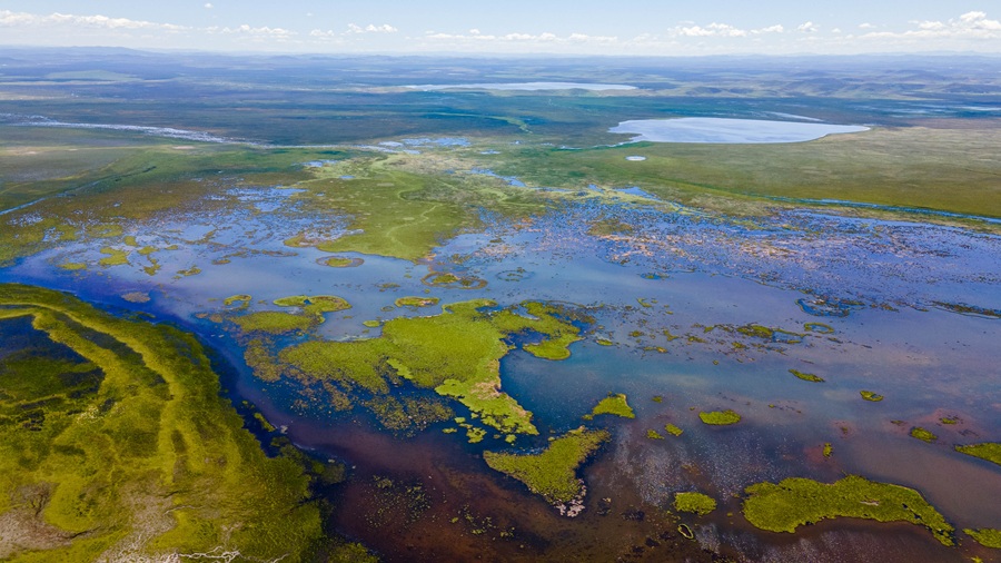 【异域甘南.禅心色达】麦积山/官鹅沟/腊子口/拉卜楞寺/扎尕那/观音镇/色达/九曲黄河第一湾/ 花湖/红原大草原/阿万仓湿地/莲宝叶则/娘玛寺转经筒/桑科草原8天