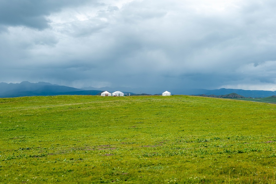 【异域甘南.禅心色达】麦积山/官鹅沟/腊子口/拉卜楞寺/扎尕那/观音镇/色达/九曲黄河第一湾/ 花湖/红原大草原/阿万仓湿地/莲宝叶则/娘玛寺转经筒/桑科草原8天