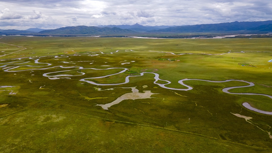 【异域甘南.禅心色达】麦积山/官鹅沟/腊子口/拉卜楞寺/扎尕那/观音镇/色达/九曲黄河第一湾/ 花湖/红原大草原/阿万仓湿地/莲宝叶则/娘玛寺转经筒/桑科草原8天
